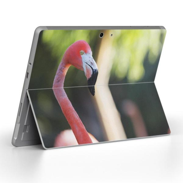 Surface Go pXLV[ Microsoft T[tFX T[tBX m[gp\R Jo[ tB XebJ[  i@ʐ^@@t~S@ 014986