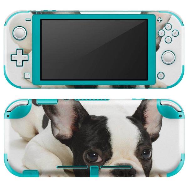 igsticker Nintendo Switch Lite p fUCXLV[ S CV p jeh[ XCb` Cg  @t`uhbN 000889