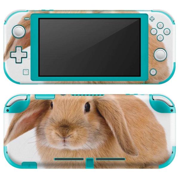 igsticker Nintendo Switch Lite p fUCXLV[ S CV p jeh[ XCb` Cg  @ 001112