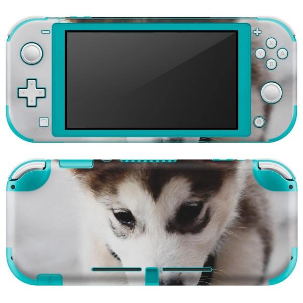 igsticker Nintendo Switch Lite p fUCXLV[ S CV p jeh[ XCb` Cg  ʐ^@@ 005831