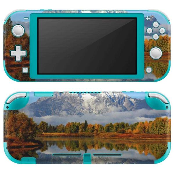 igsticker Nintendo Switch Lite p fUCXLV[ S CV p jeh[ XCb` Cg  ʐ^@i@R@΁@ 008162