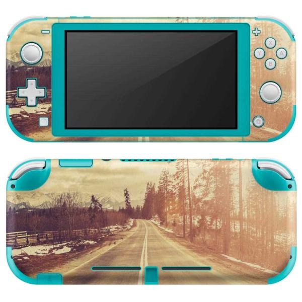 igsticker Nintendo Switch Lite p fUCXLV[ S CV p jeh[ XCb` Cg  ʐ^@i@ 011287
