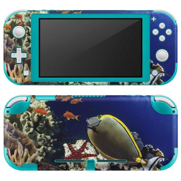 igsticker Nintendo Switch Lite p fUCXLV[ S CV p jeh[ XCb` Cg  C@@X 011673