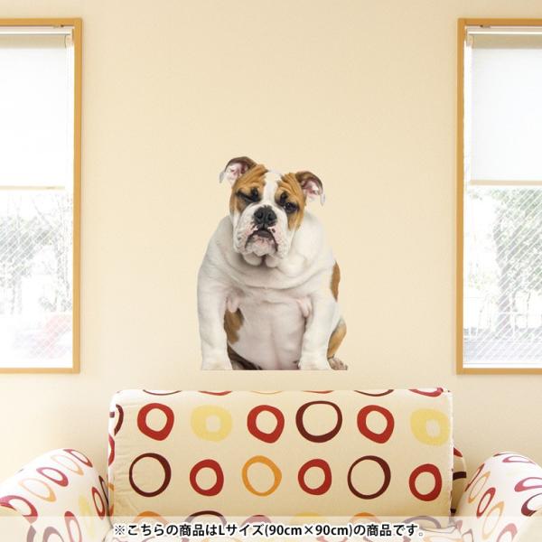 犬 壁紙 おしゃれの人気商品 通販 価格比較 価格 Com