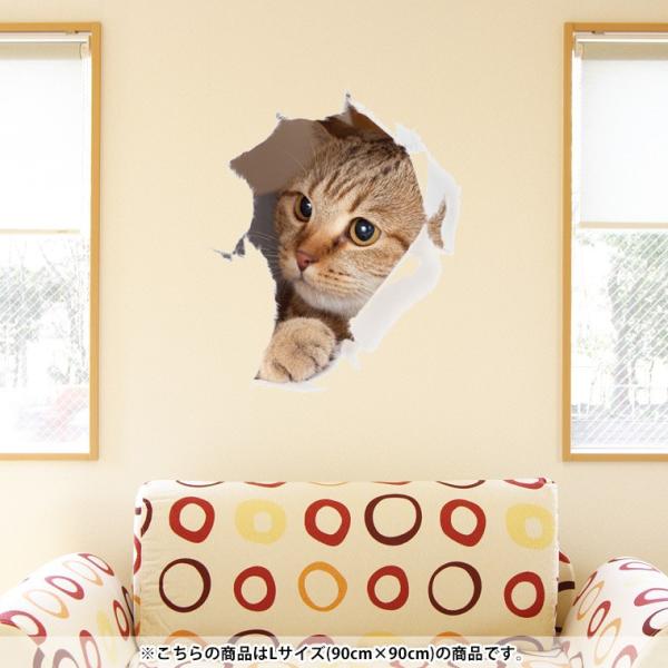 猫 壁紙 おしゃれ その他のインテリア雑貨の人気商品 通販 価格比較 価格 Com