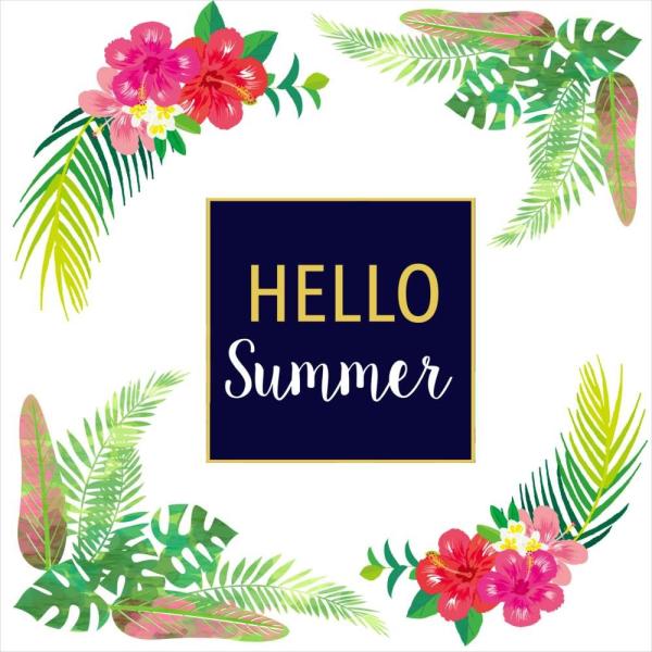 āV[EH[XebJ[ summer ċx Ղ Ђ܂ C z SURF  90×90cm