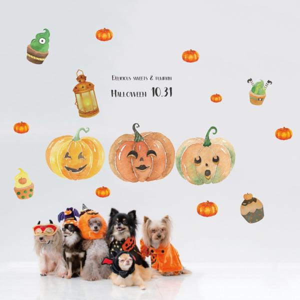EH[XebJ[  590×1327mm wall sticker nEB halloween ڂ ^ َq XC[c 1031 EH[XebJ[ 016990