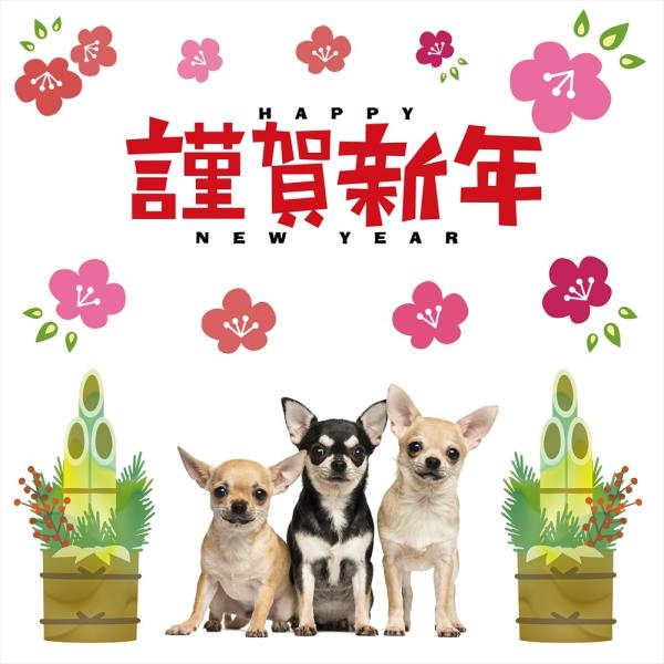 EH[XebJ[  390×877mm wall sticker  މVN newyear 叼 N  ybg  EH[XebJ[ 015118