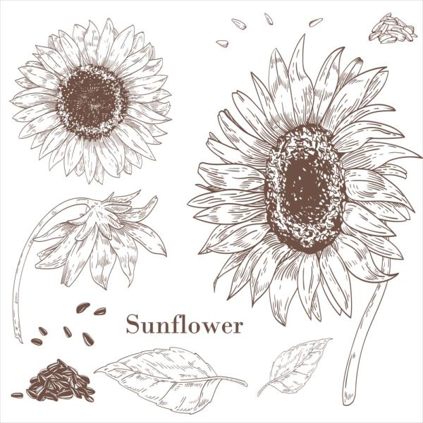 EH[XebJ[  390×877mm wall sticker  summer ċx Ђ܂  Vv EH[XebJ[ 016580