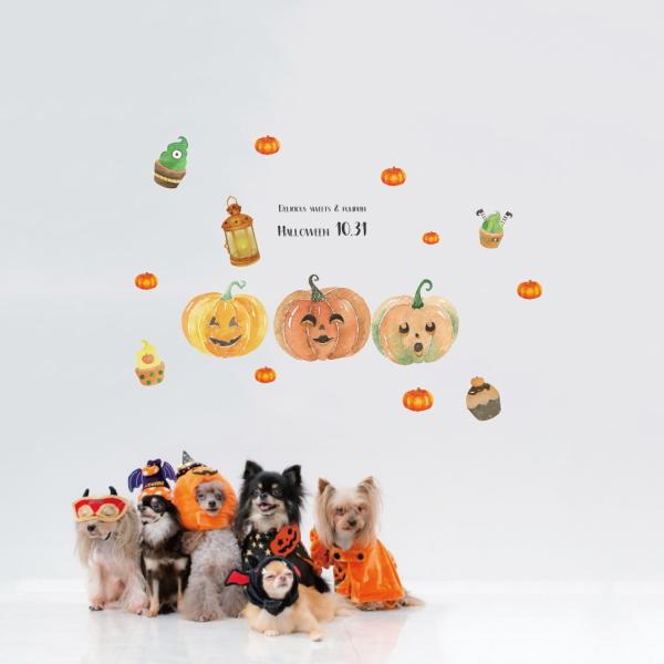 EH[XebJ[  390×877mm wall sticker nEB halloween ڂ ^ َq XC[c 1031 EH[XebJ[ 016990
