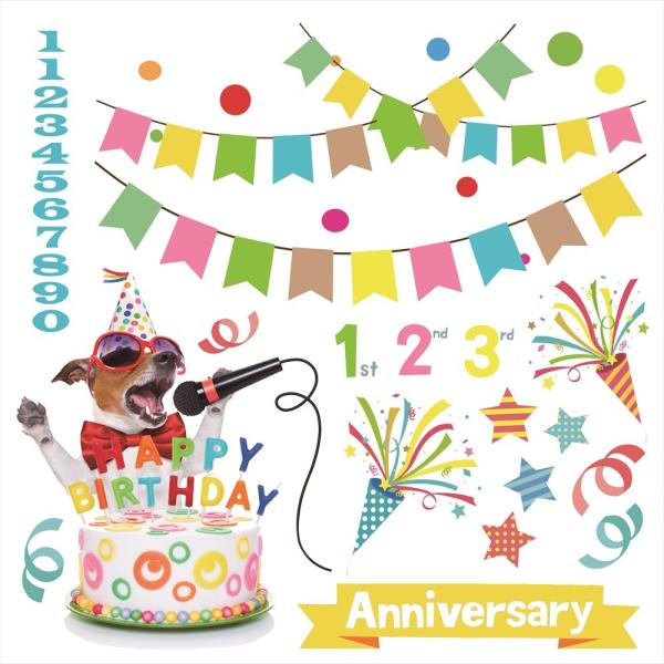 EH[XebJ[  190×427mm wall sticker P[L K[h o[Xf[p[eB D o[ EH[XebJ[ 015244