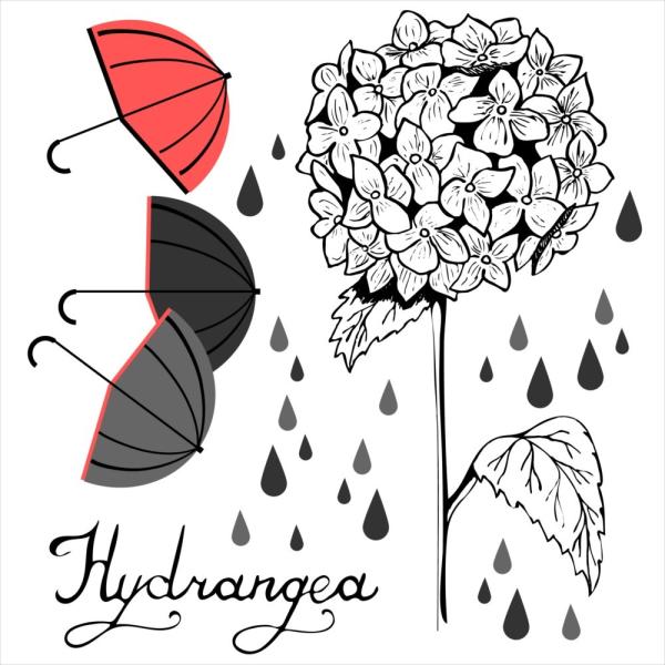 EH[XebJ[  190×427mm wall sticker ~J J rainy day rainy season AWTC z P EH[XebJ[ 016354