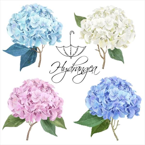 EH[XebJ[  190×427mm wall sticker ~J J rainy day rainy season AWTC z EH[XebJ[ 016356