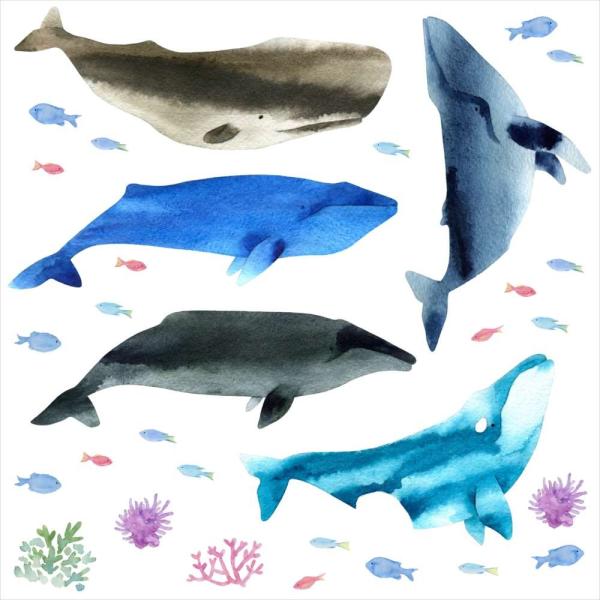 C̐ V[EH[XebJ[  fish sea NW  CJ 邩 V`  30×30cm V[   ǎ wall sticker