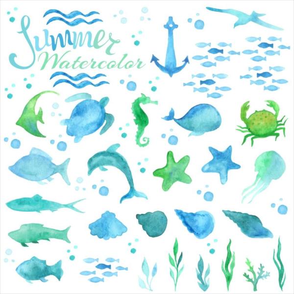 EH[XebJ[  190×427mm wall sticker   fish sea NW  CJ 邩 EH[XebJ[ 016525