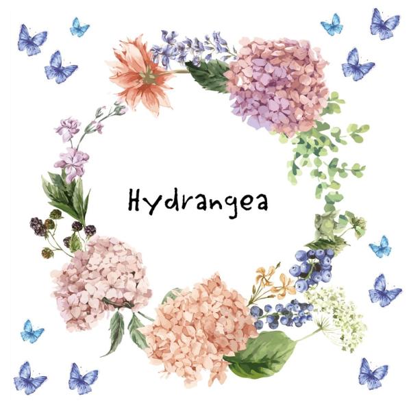 ~J V[EH[XebJ[  30×30cm J rainy day rainy season AWTC z AWTC P J@016869