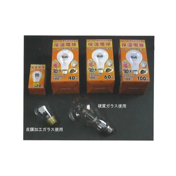 オレンジ 保温電球 100W S-SET アサヒ ペットヒーター 100W | チャーム