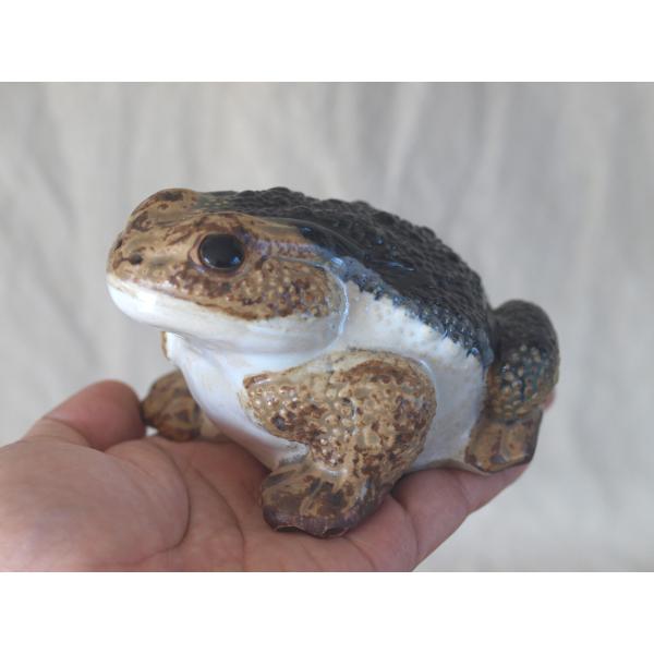 レア珍品 時代 リアル ヒキガエル12cm ガマガエル金運 財運 ラッキー