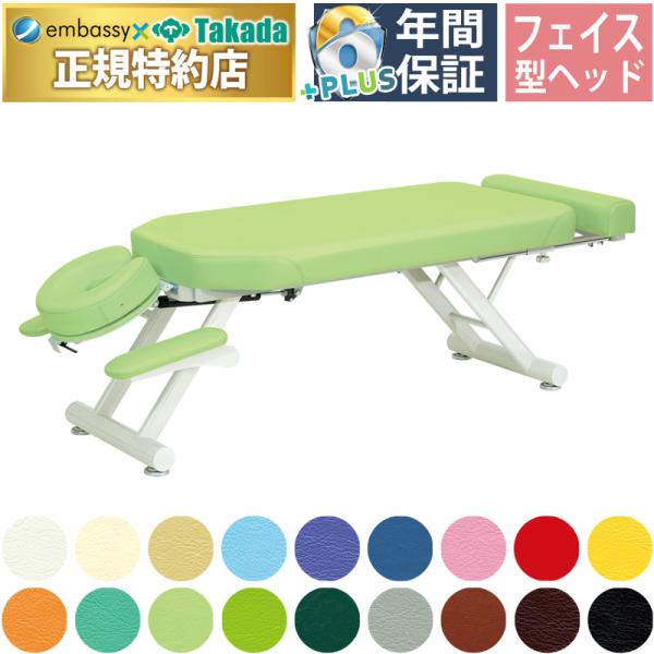 高田ベッド製作所 高田ベッド GSスリムベッド−5型 TB-1094 カイロ