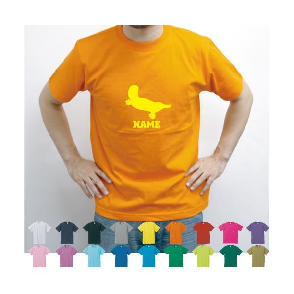 �J���m�n�V�@������T�V���c �`�[��T�V���c ���� ���D�� �T�[�N�� ��������T�V���c ���O����@���{�APlatypus