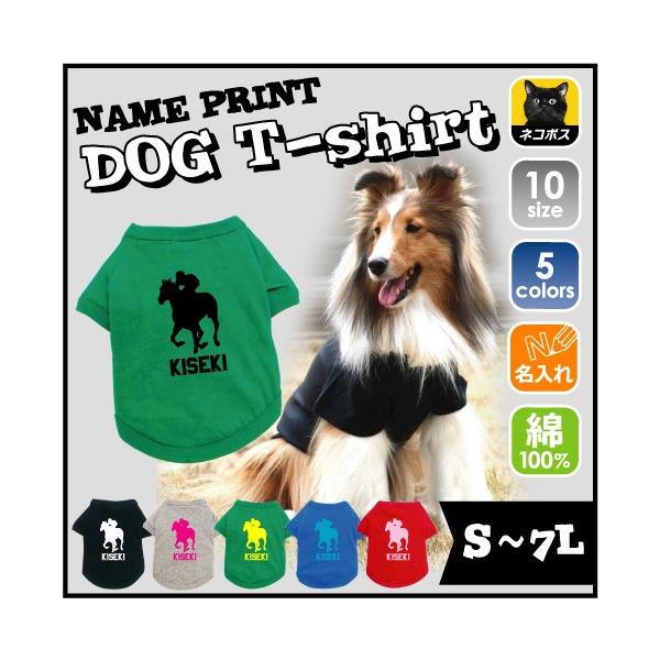 _[r[WbL[  hbOTVc R n keiba