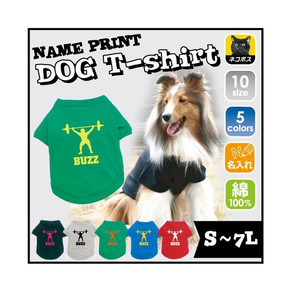 EGCgteBO hbOTVc   dʋ o[x