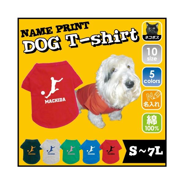 TbJ[vC[ hbOTVc   V[g XgCJ[ _艮