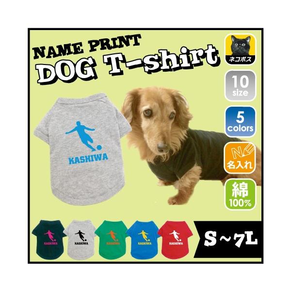 V˃teB[ hbOTVc   V[g  t[LbJ[