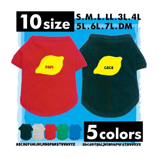  hbOTVc   l[^O hbOEGA t[c ʕ