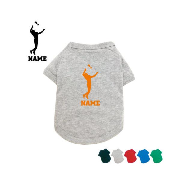 CfBAJ1  hbOTVc   l[^O hbOEGA ybgEFA Vg RbN lbg }Ci[ X|[c