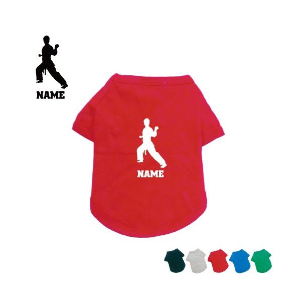 1 hbOTVc   l[^O hbOEGA ю@ ɐ^ ꌂ   蓹 karate 