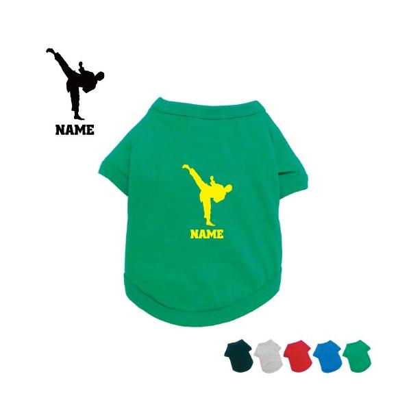 2 hbOTVc   l[^O hbOEGA ю@ ɐ^ ꌂ   蓹 karate 