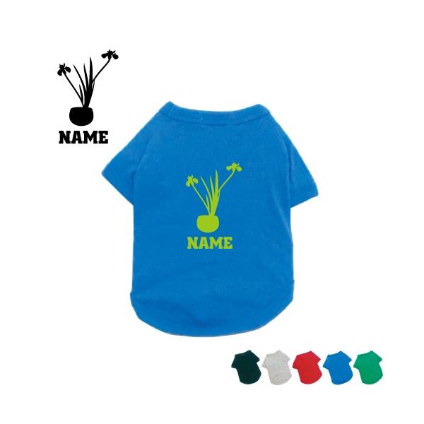 ؓ  ԓ   t[AWg hbOTVc