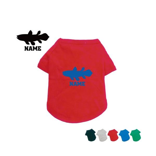 V[JX hbOTVc hbOEFA ^ ^ ^  Coelacanthus