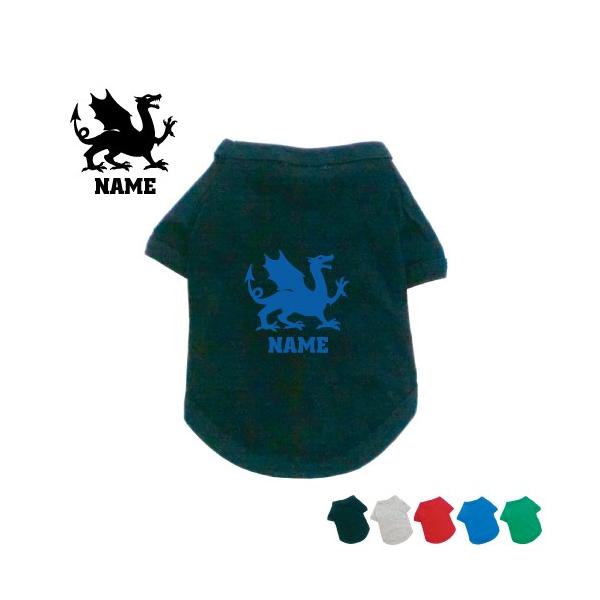 hS2 hbOTVc hbOEFA ^ ^ ^   `̐ dragon