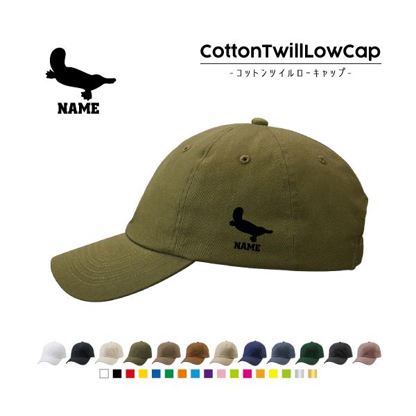 �J���m�n�V   ������R�b�g���c�C�����[�L���b�v ��� �X�q �L���b�v   ���{ Platypus