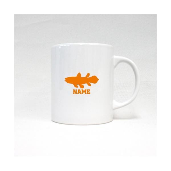 V[JX }OJbv O l[ }OJbv R[q[Jbv  ΁ACoelacanthus