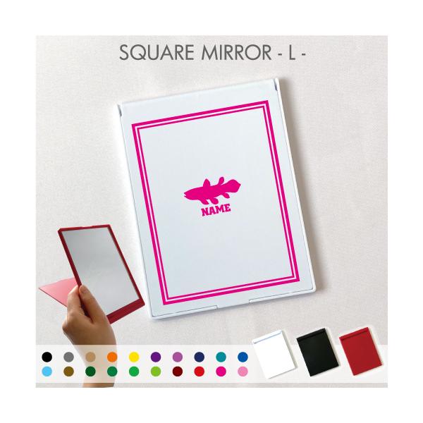 V[JX RpNg~[ ܂肽 傫~[ X^h~[ ܗ ㋾ ƋLOi LOiACe  Coelacanthus