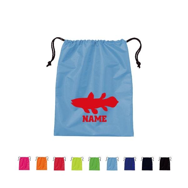 V[JX V[YobO В|GXeobO В 㗚  Coelacanthus