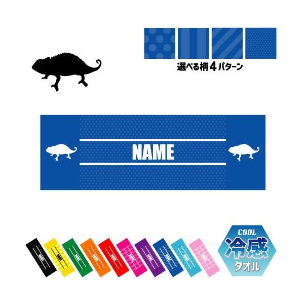 JI ⊴^I p^I N[^I ΍ MǑ΍  chamaeleon ঒