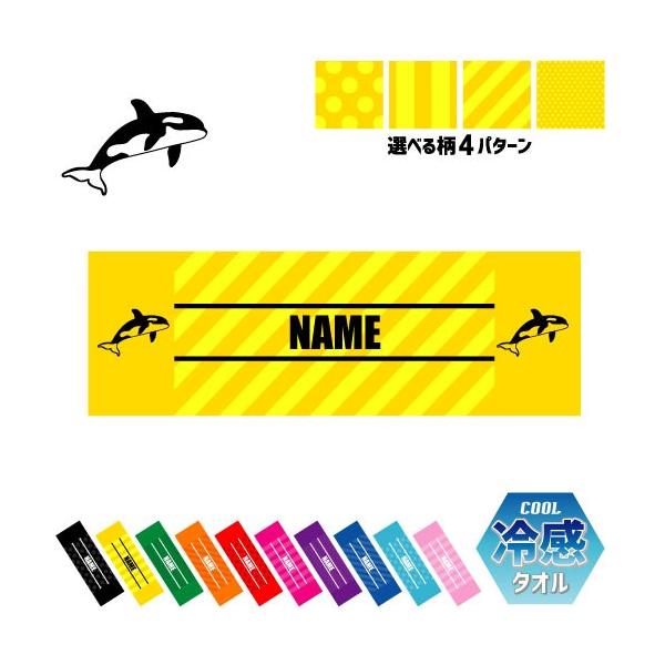 V` ⊴^I p^I N[^I ΍ MǑ΍  C̉ ŋ Killer Whale orca 