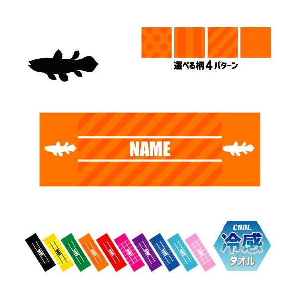 V[JX ⊴^I p^I N[^I ΍ MǑ΍   Coelacanthus