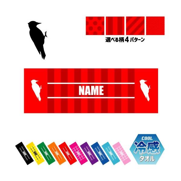 LccL ⊴^I p^I N[^I ΍ MǑ΍  ؒ P Woodpecker