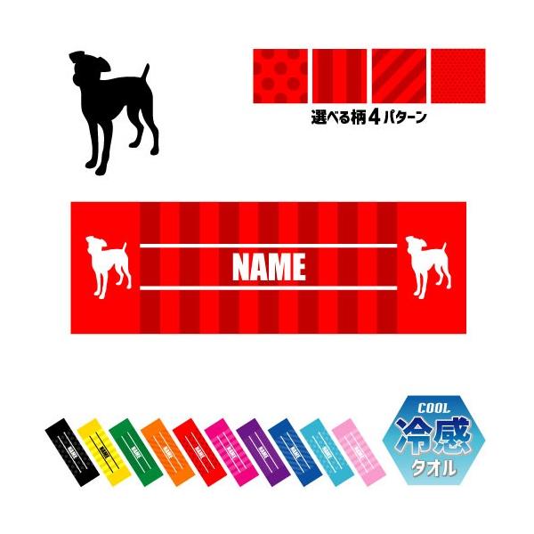 ~j`AEsV[ ʃhbOVGbg ⊴^I p^I N[^I ΍ MǑ΍