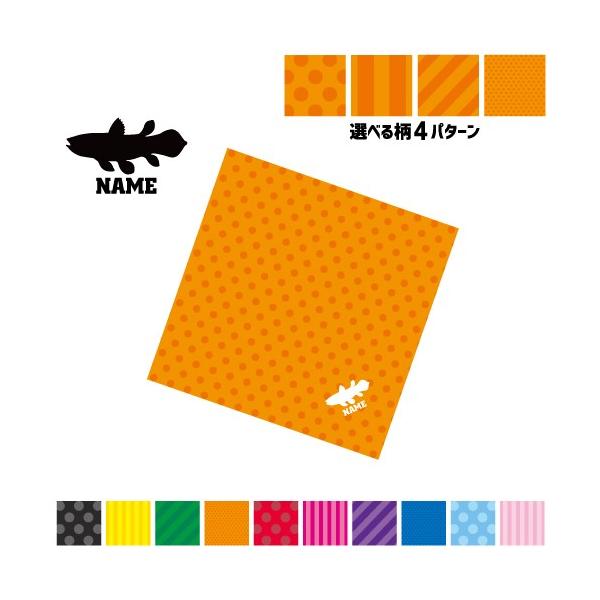 V[JX }`NX Kl@ t@ X}z@ ~j^yXg[ ~  Coelacanthus