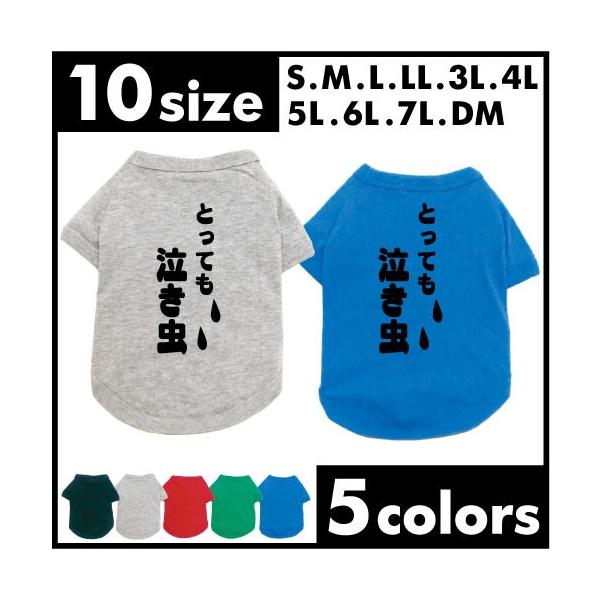 hbOTVc ƂĂ   hbOEFA ybgEFA ̗m ̕ REFA hbO ObY