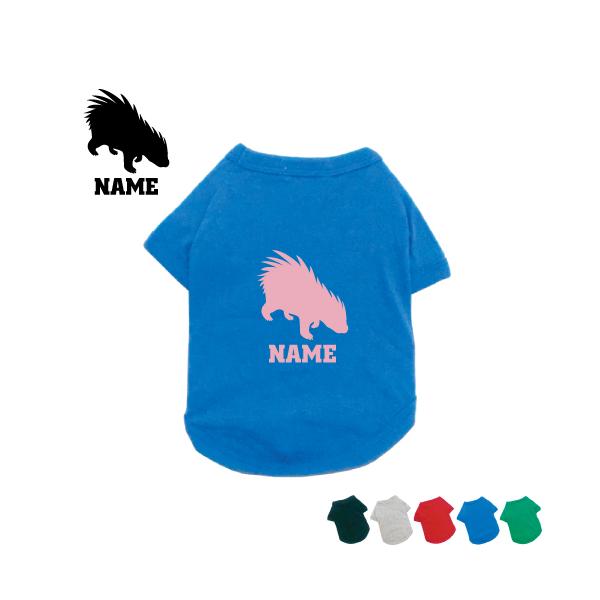 }AV hbOTVc hbOEFA ^ ^ ^ Rr  Porcupine