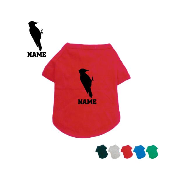 LccL hbOTVc hbOEFA ^ ^ ^ ؒ P Woodpecker