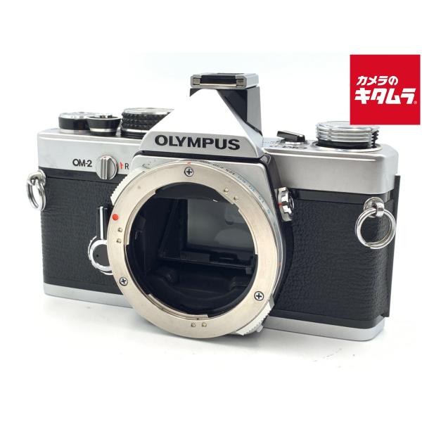 [Release date: September 25, 2024][送料無料][フィルムカメラ]