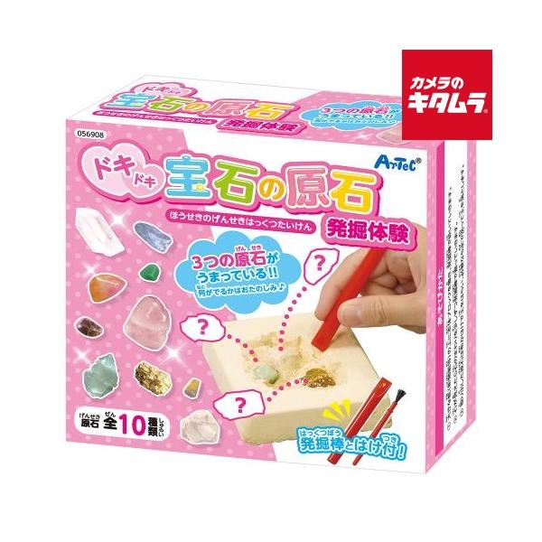 [Release date: March 28, 2024][3,980円(税込)以上のご注文で送料無料][`artec`アーテックドキドキ！宝石の原石発掘体験56908`自由工作`自由研究`夏休み`]